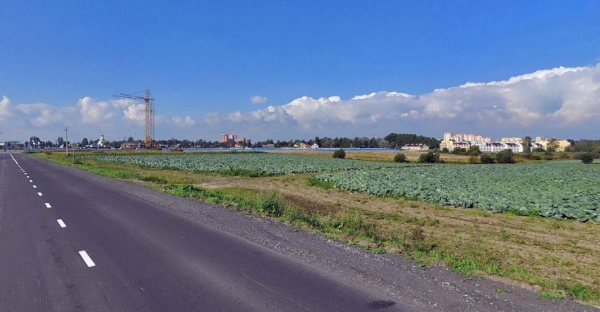 Город продаст под жилье участок на Муринской дороге - «Свежие новости строительства»