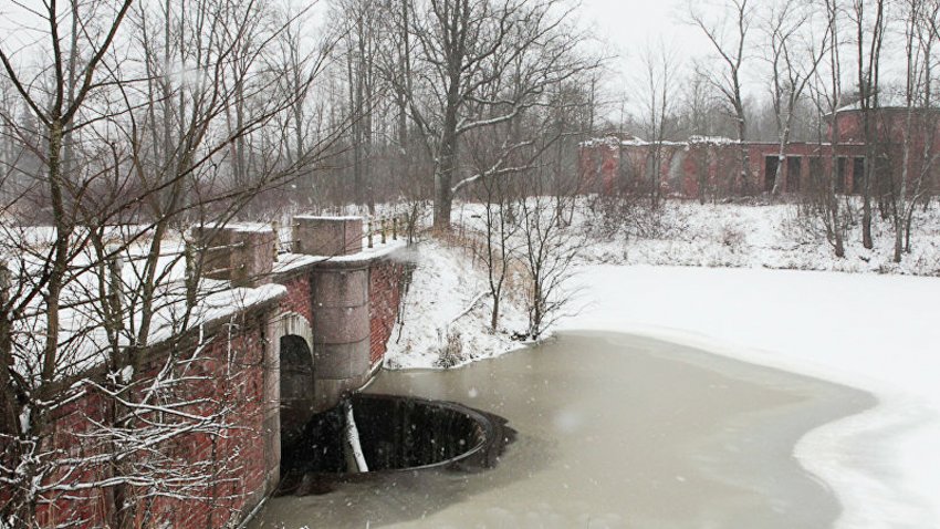 Суд принял отказ Steelmar от жалобы по стройке в парке под Петербургом - «Строительство»