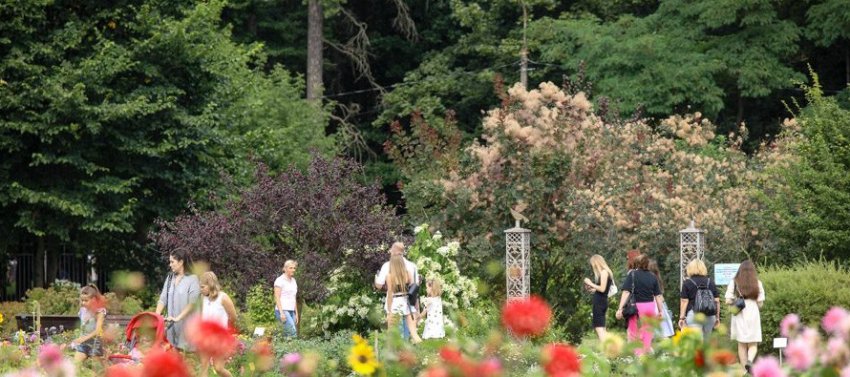 Фотофакт: десятки минчан приходят в ботанический сад насладиться цветами - «Свежие новости строительства»