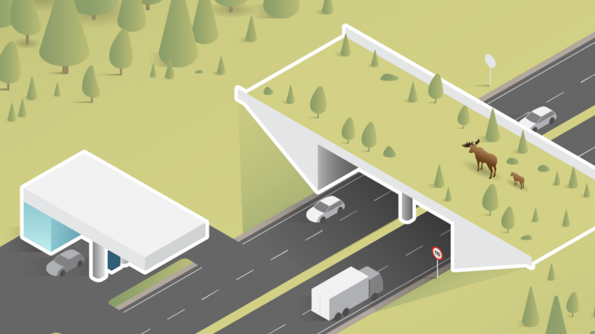 Трасса М-12 Москва — Казань: маршрут и основные характеристики - «Строительство»