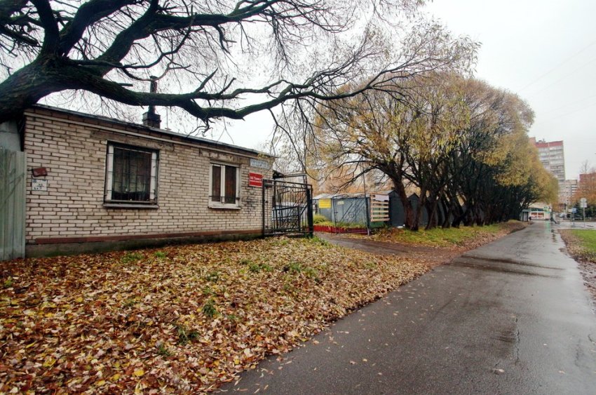 На месте гаражей на Сиреневом бульваре построили школу - «Свежие новости строительства»